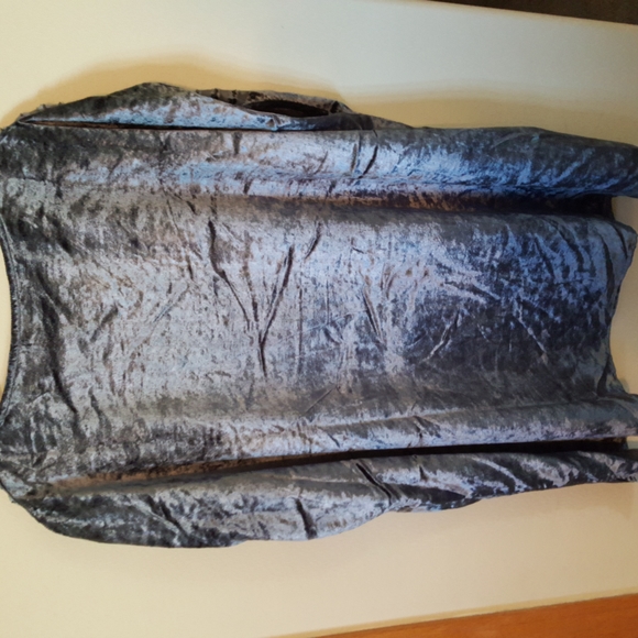 FREE w/ Purchase of $50 or more. Soft Surroundings Gray Velvet Top - Picture 2 of 6
